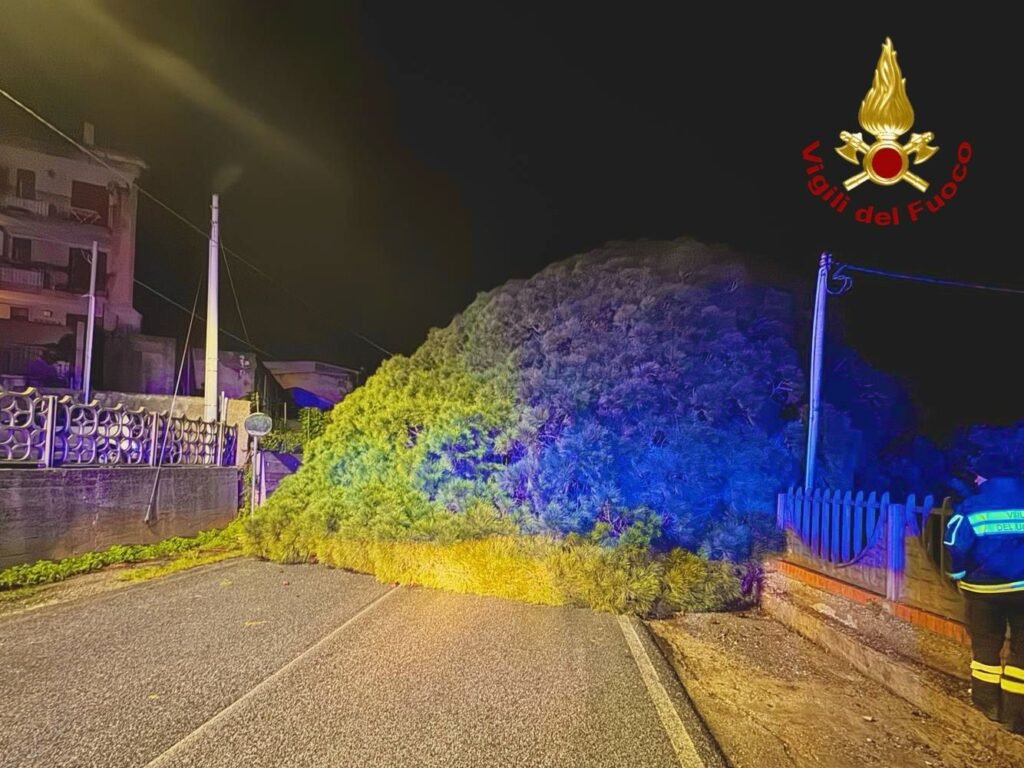 GIANDOMENICO LA FAUCI E LELIO FAMA: «ALBERO CROLLATO A SAN MATTEO, IGNORATI PER MESI GLI ALLARMI DELLA V CIRCOSCRIZIONE» 2 IMG 20250329 WA0017