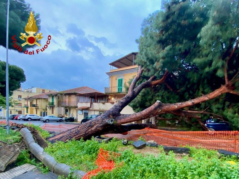 GIANDOMENICO LA FAUCI E LELIO FAMA: «ALBERO CROLLATO A SAN MATTEO, IGNORATI PER MESI GLI ALLARMI DELLA V CIRCOSCRIZIONE» 1 IMG 20250329 WA0018