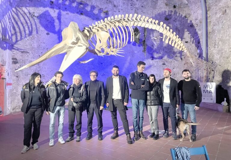 Giornata Meteorologica Mondiale 2025: una settimana di eventi di scienza e divulgazione voluta da Unime, l’Istituto Nazionale di Geofisica e Vulcanologia e la Stazione Zoologica Anton Dohrn per avvertire la popolazione e i giovani sui preoccupanti cambiamenti climatici del nostro territorio.