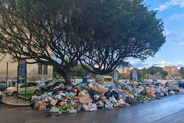 Rifiuti, proroga al 31 ottobre per i bandi Ccr e compostaggio. Colianni: «Con Anci maggiore condivisione degli avvisi agli enti locali» 2 rifiuti