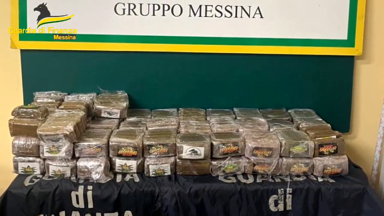 vlcsnap 2025 03 11 07h40m13s840