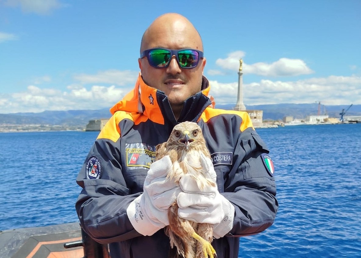 bca42c0c 4722 40da 92bb ecccdab7dac8