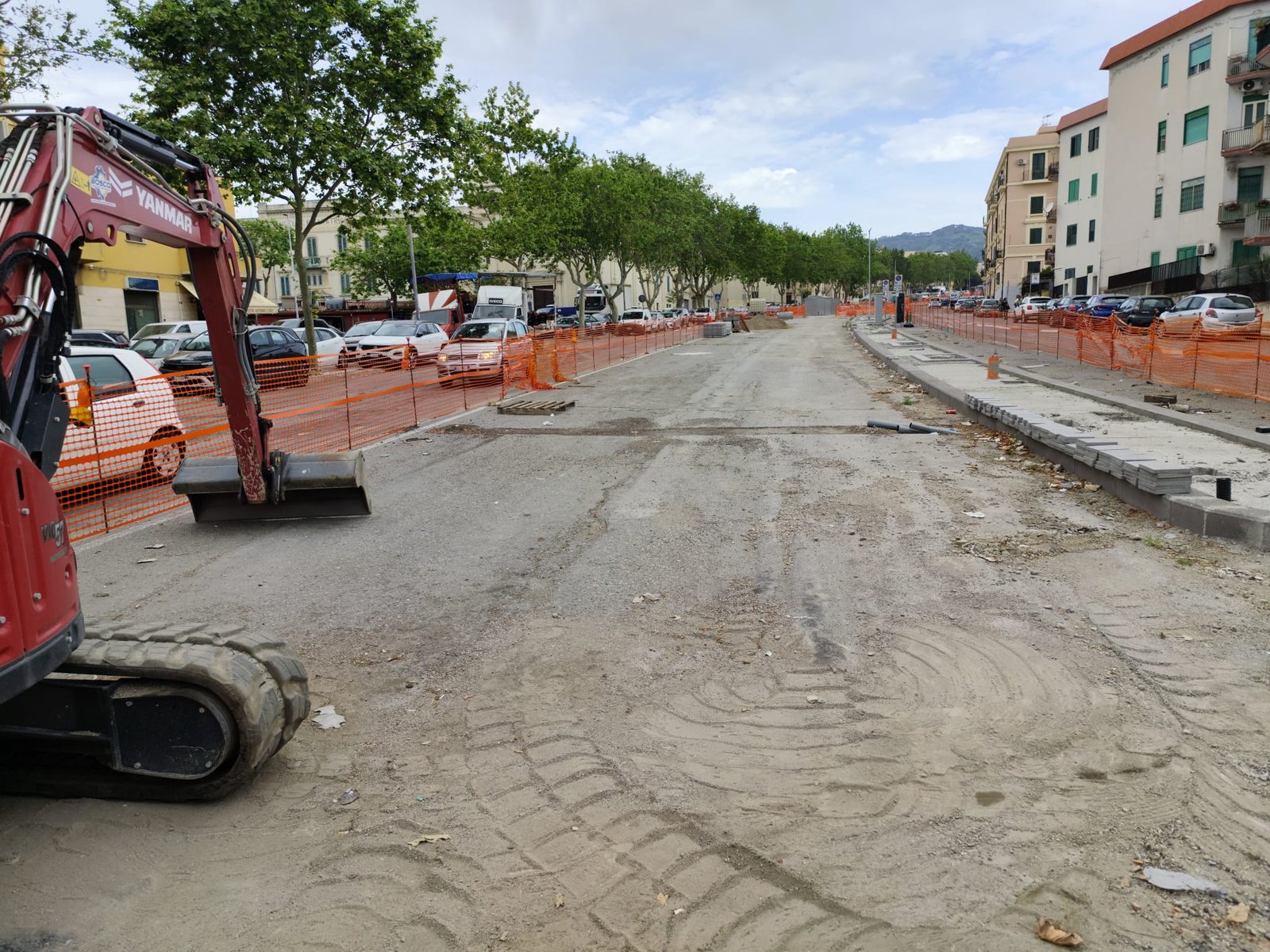 Viale Giostra senza platani