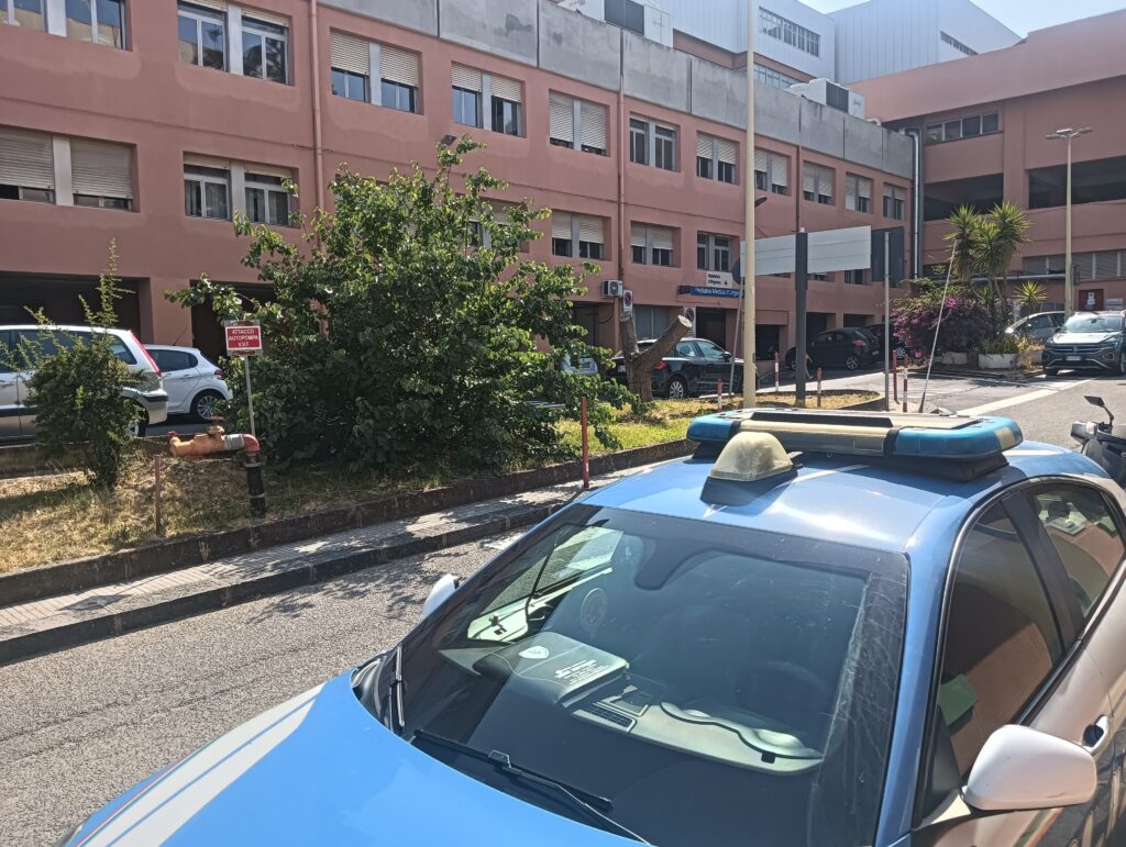 Elisa, morta a 4 mesi nel volo dal balcone. La madre è grave, ora è indagata per omicidio. 4 la morte della piccola Elisa