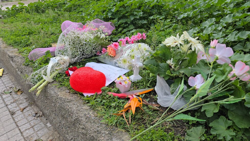 Gioveni, "Luogo femminicidio Sara Campanella: a quando la riqualificazione promessa?" 1 Sara campanella luogo omicidio