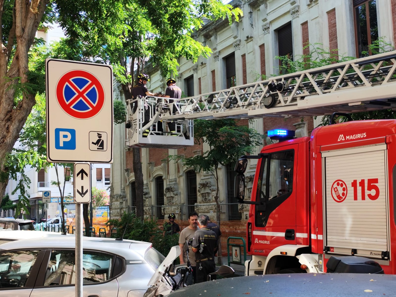 alberi via placida (7)