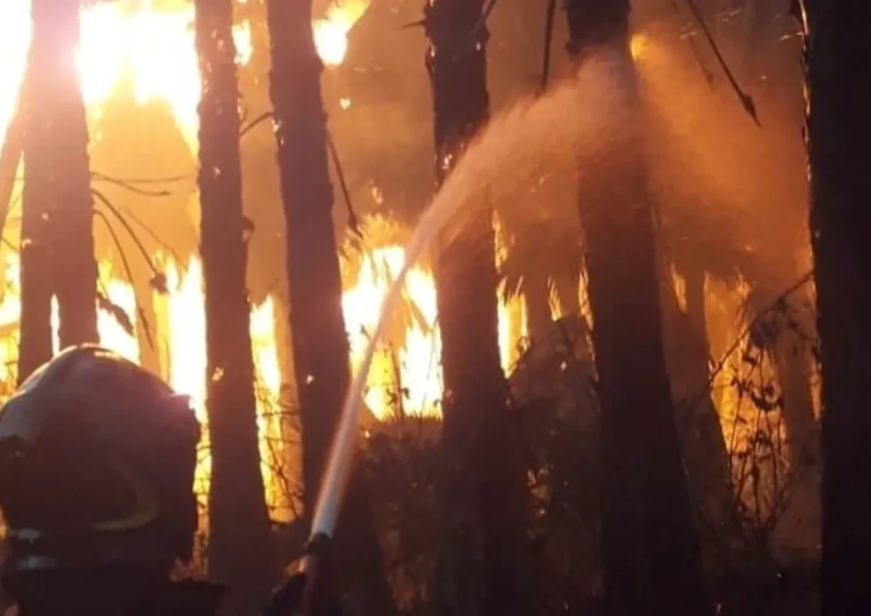Sicilia in Fiamme: una domenica di scirocco e Incendi. decine di roghi da Palermo ad Agrigento 1 incendi