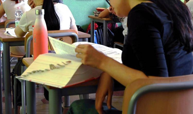 Maturità, al via seconda prova: Cicerone al Classico, Cartesio allo Scientifico 3 Una studentessa impegnata nell'esame di maturità 2025