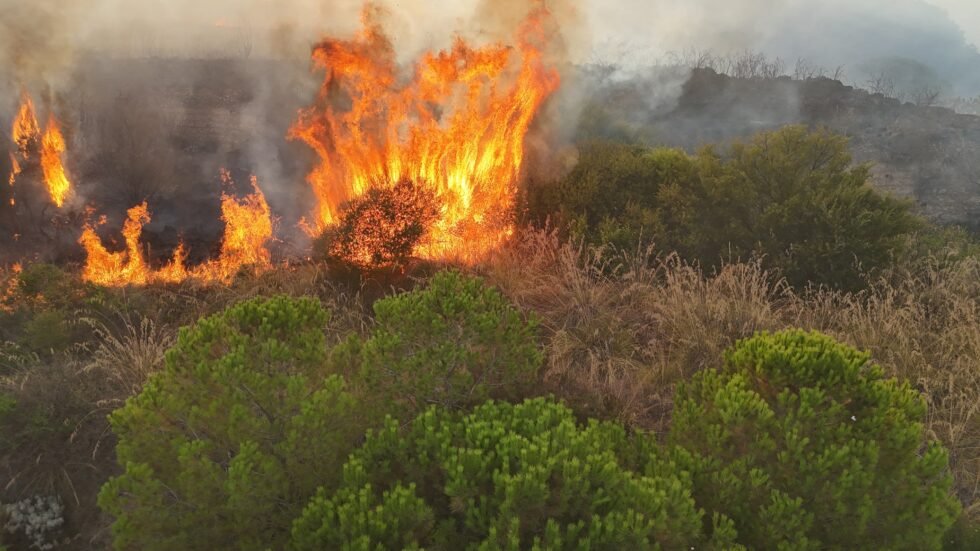 Messina due incendio