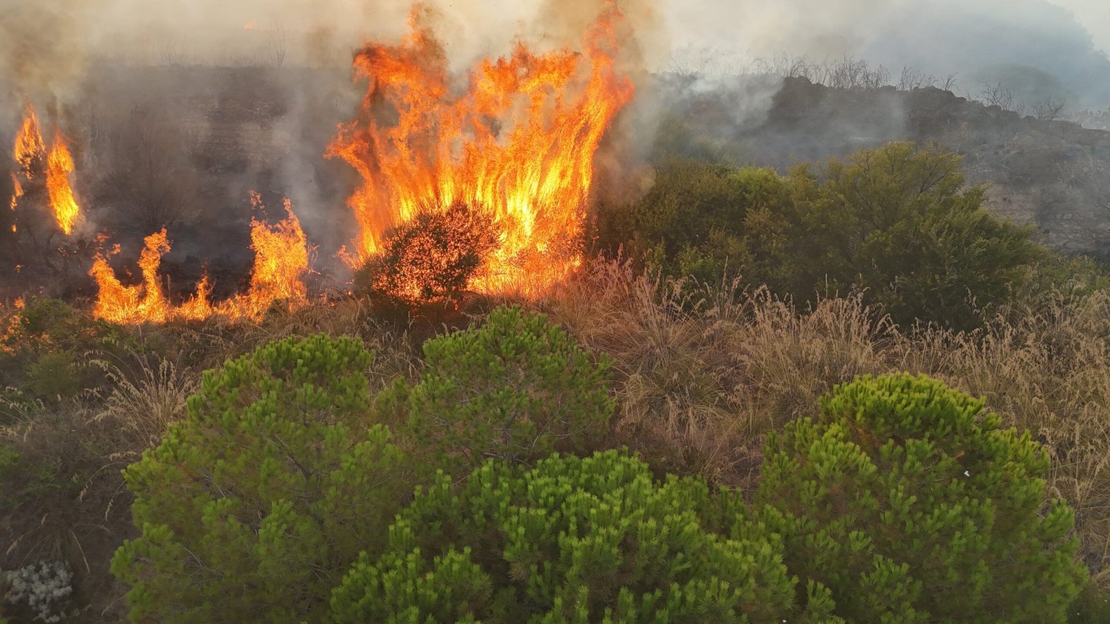 Messina due incendio