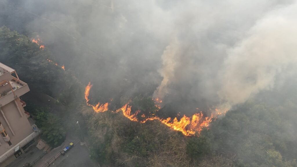 Messina in allarme, vasto incendio a Messina Due. Le fiamme minacciano il serbatoio Amam di Montesanto e le case 6 1000218112