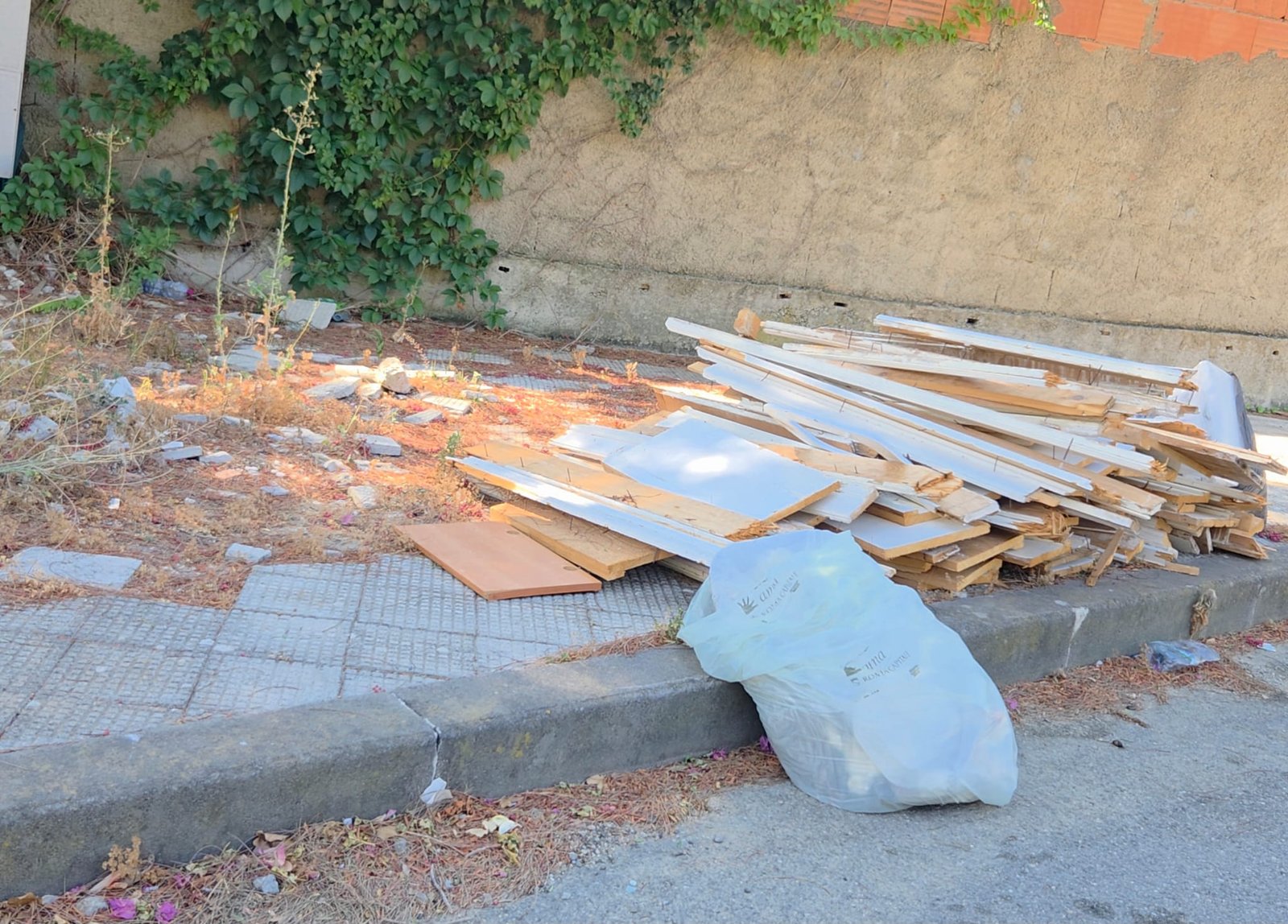 Camaro Superiore in totale abbandono Geraci (M5S): «Si interviene solo per la festa del Santo? E tutto il resto dell'anno?» 5 Camaro Superiore