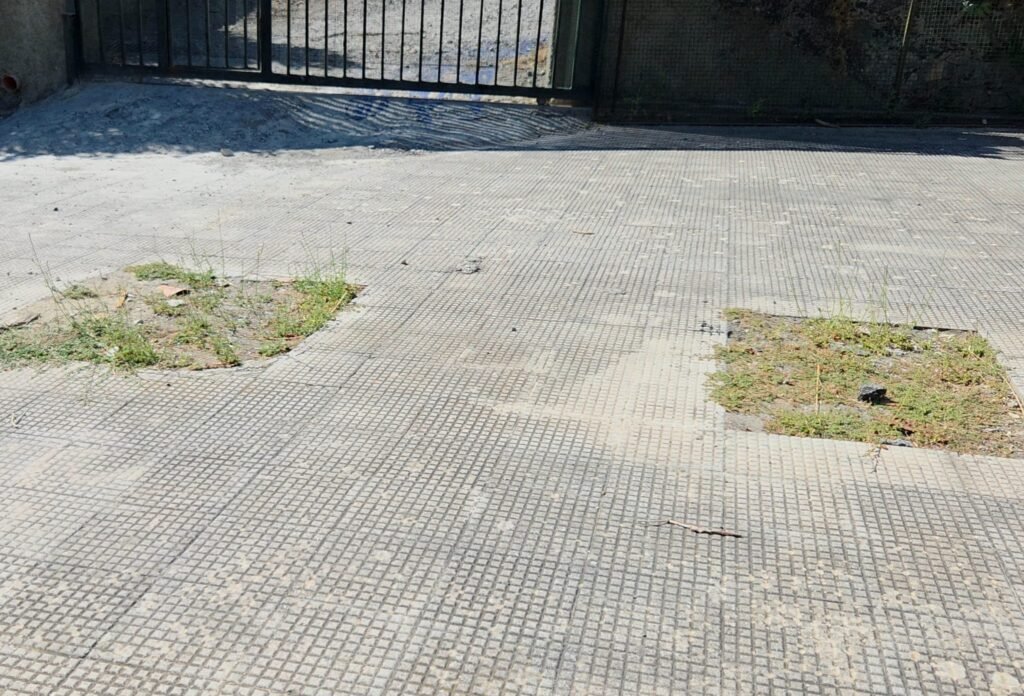 Camaro Superiore in totale abbandono Geraci (M5S): «Si interviene solo per la festa del Santo? E tutto il resto dell'anno?» 7 Camaro Superiore