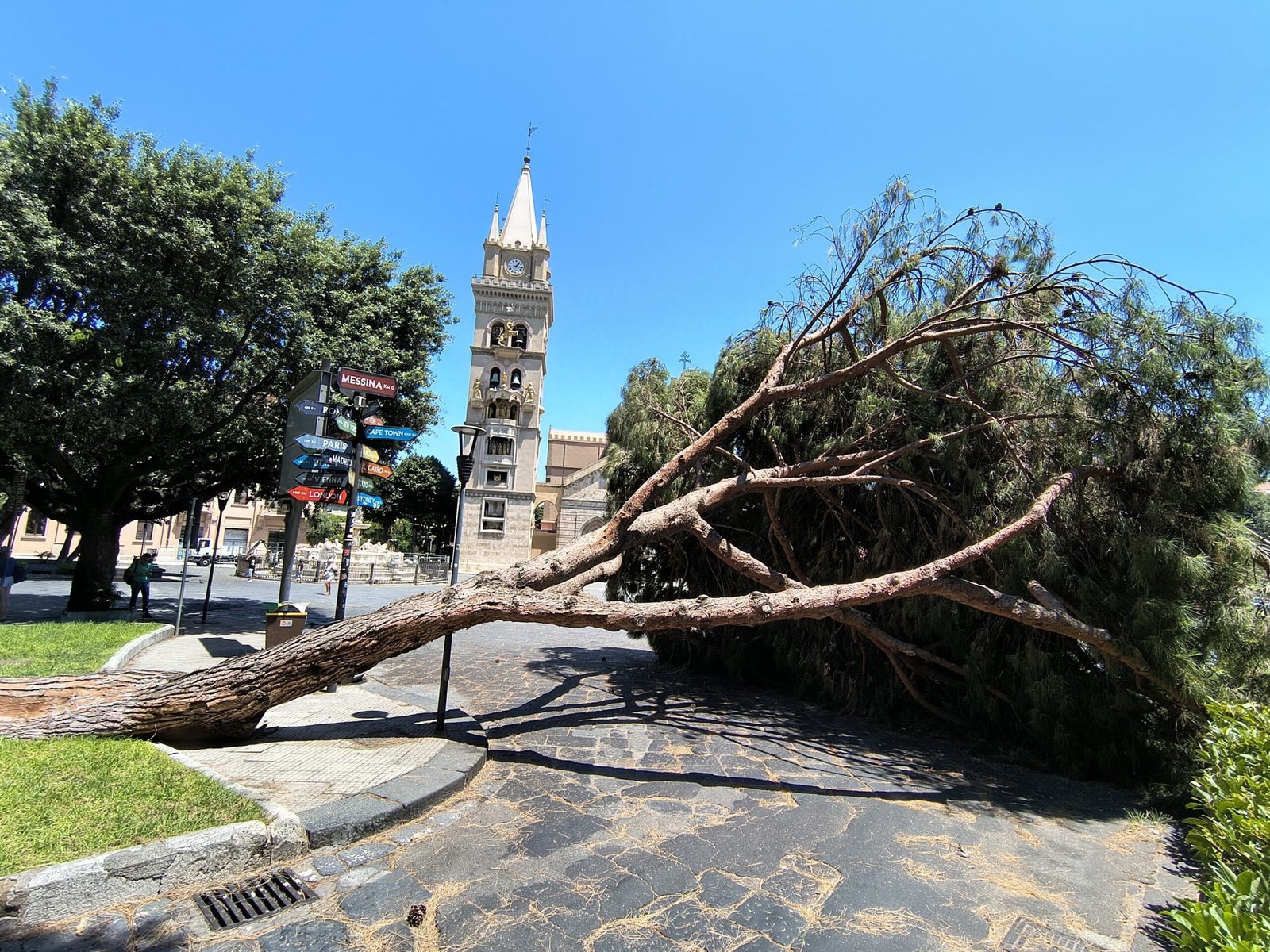 Crollo improvviso di un pino, FERRANTE (M5S): Niente vento e niente pioggia. A Messina cadono gli alberi ma anche le giustificazioni. 8 Albero caduto Duomo