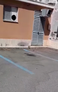NAZIONALE 67 voce di Sicilia