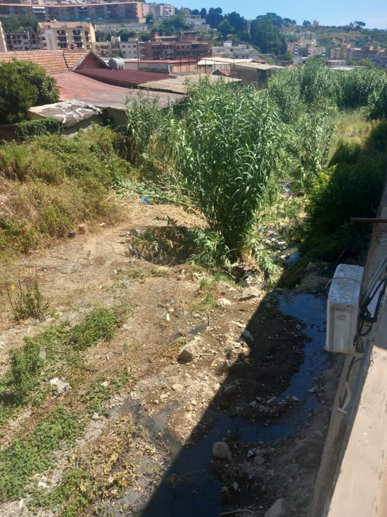 torrente Badiazza