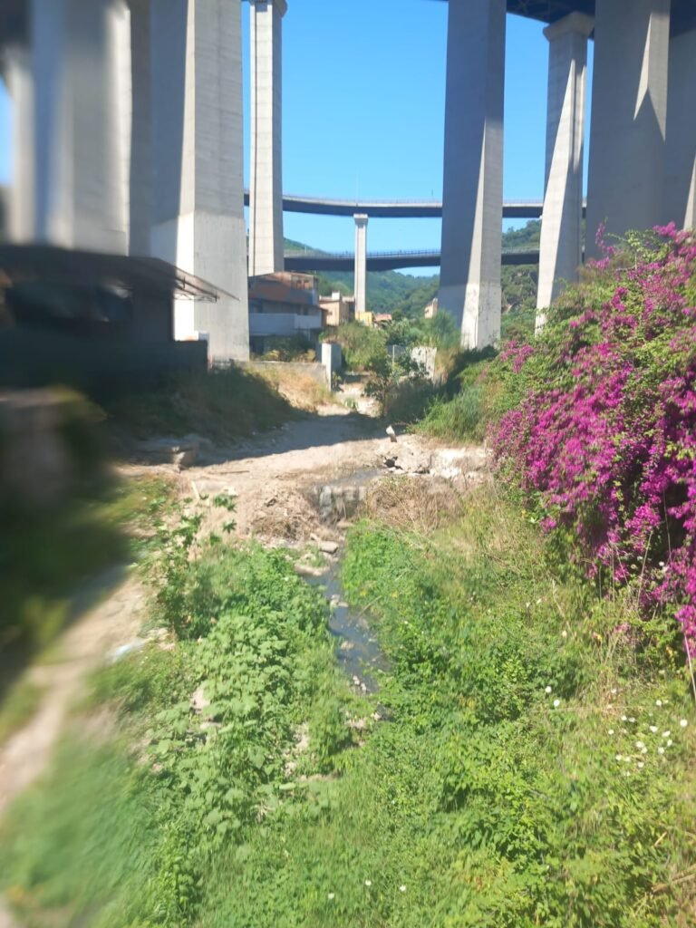 torrente Badiazza
