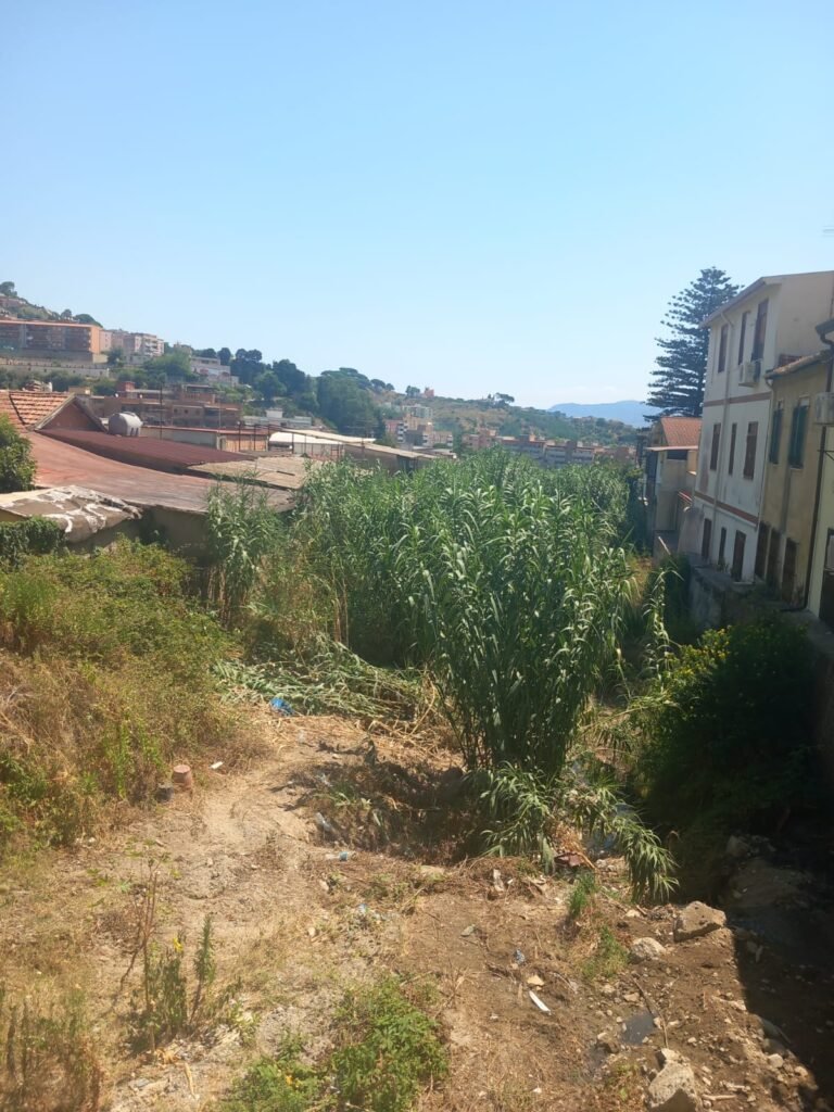 torrente Badiazza