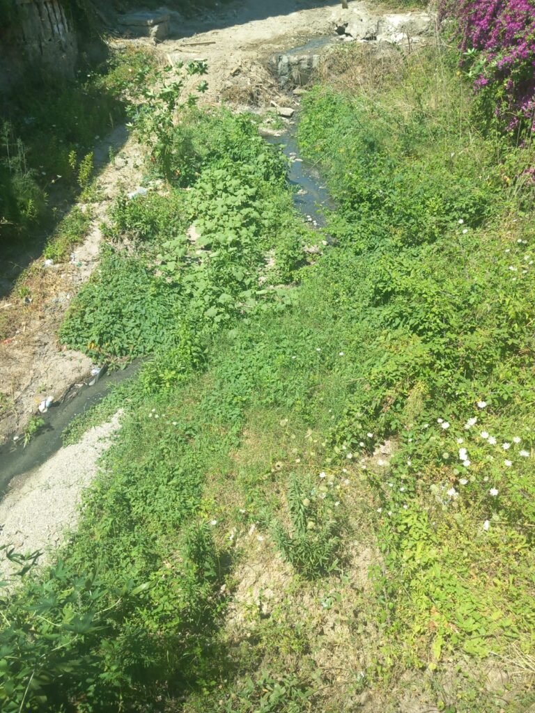 torrente Badiazza