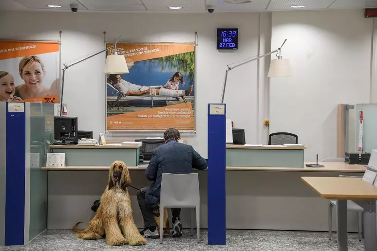 Il conto corrente diventa un diritto 'di cittadinanza' 1 conto corrente