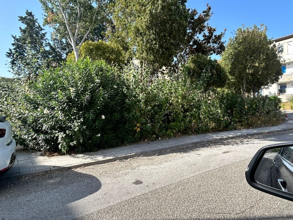 Villa Esperia e Rione Gescal abbandonati dalla Messina Servizi? No, speriamo si tratti di corto circuito senza “rischio di incendi”. 3 foto 5 gescal