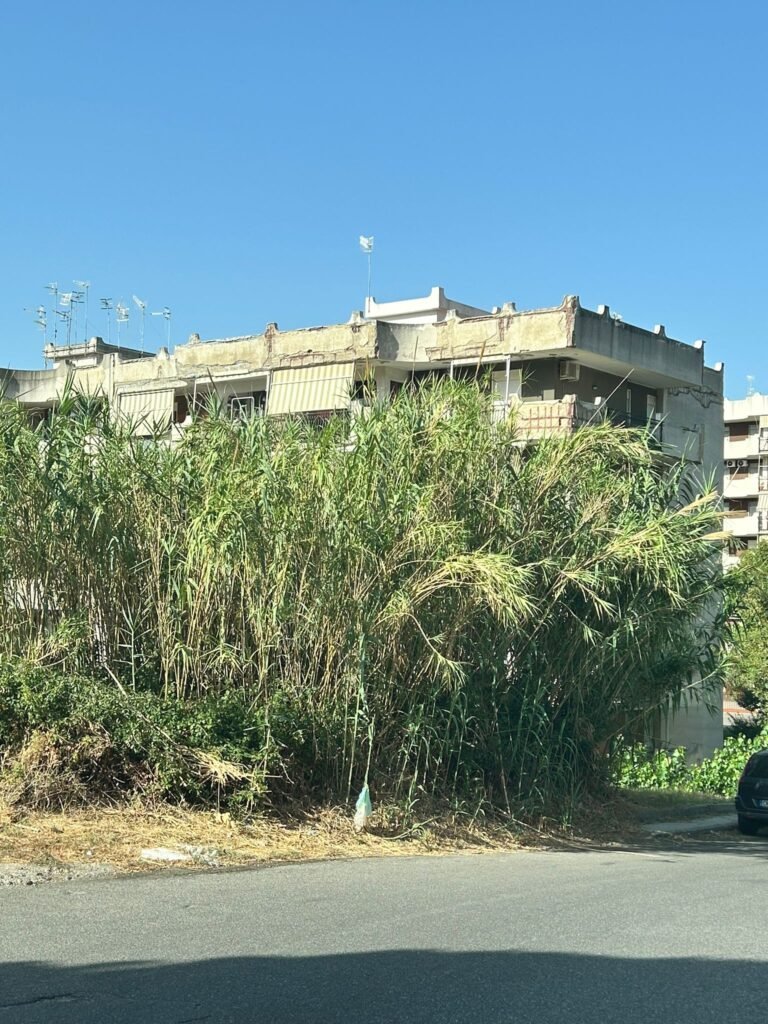Villa Esperia e Rione Gescal abbandonati dalla Messina Servizi? No, speriamo si tratti di corto circuito senza “rischio di incendi”. 5 foto 8 baglio