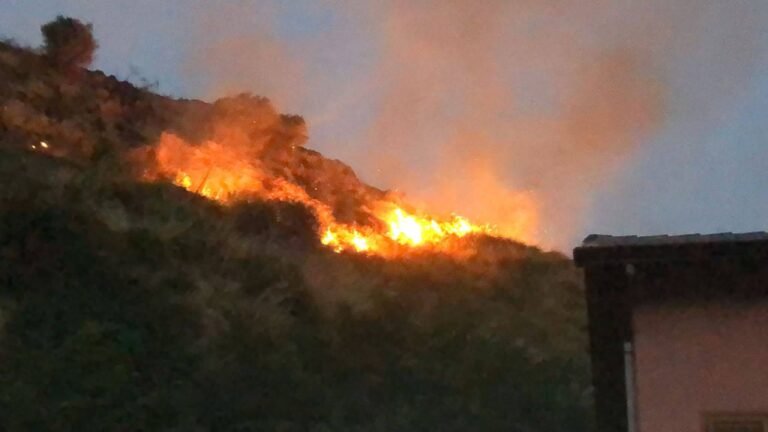 Sicilia: Musolino (Iv), dramma incendi, grazie a VVFF, ma regione non fa nulla