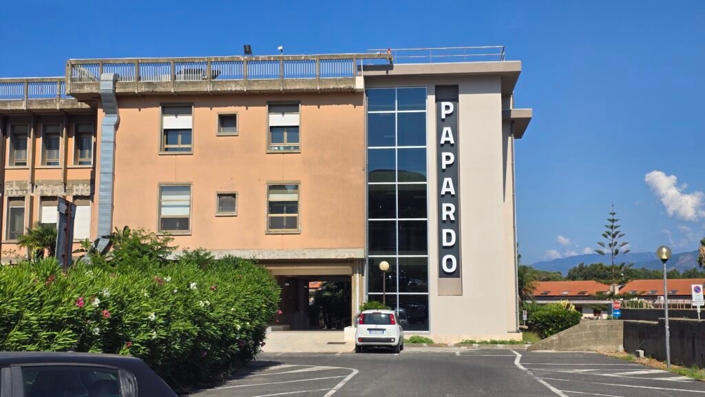 Sanità, Musolino: «Nuova rete ospedaliera da bocciare. Accanimento incomprensibile su Messina» 3 papardo