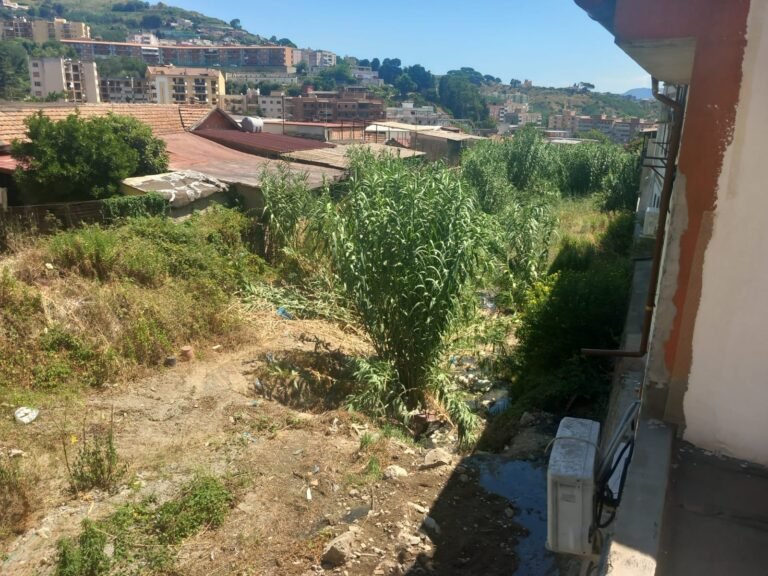 torrente Badiazza
