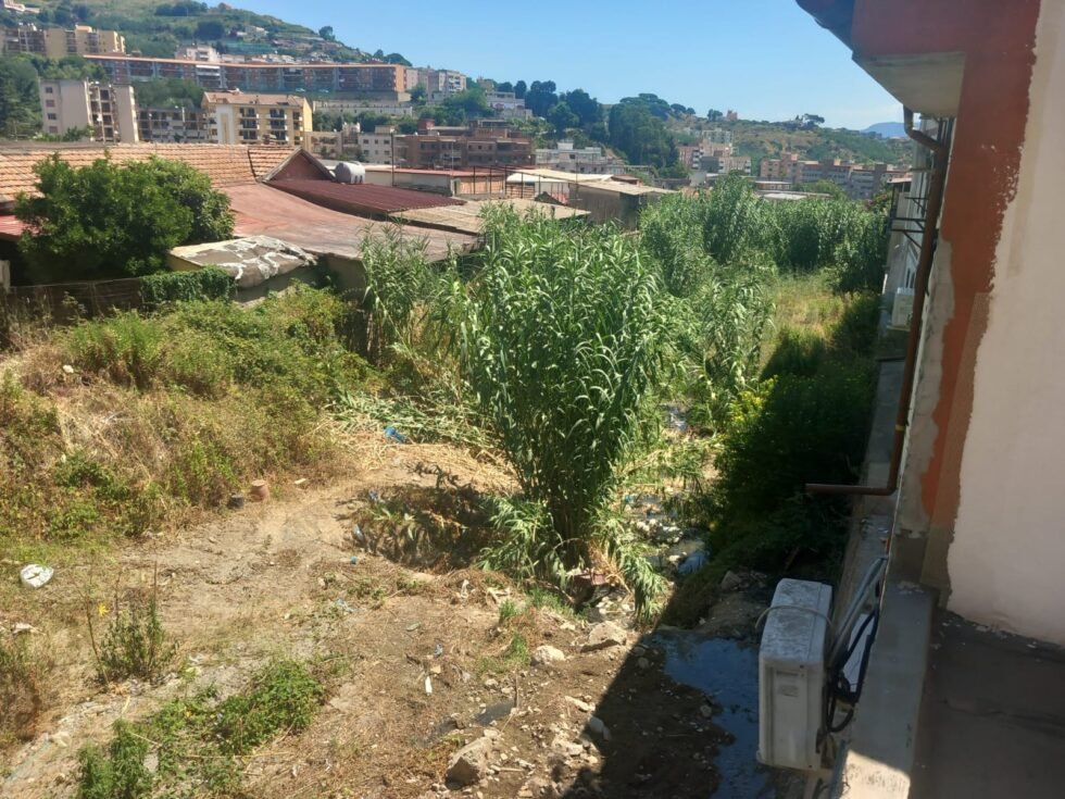 Messina, emergenza a Ritiro. Il torrente Badiazza è una fogna a cielo aperto tra rifiuti e serpenti: la denuncia del consigliere PD Calabrò 1 torrente Badiazza