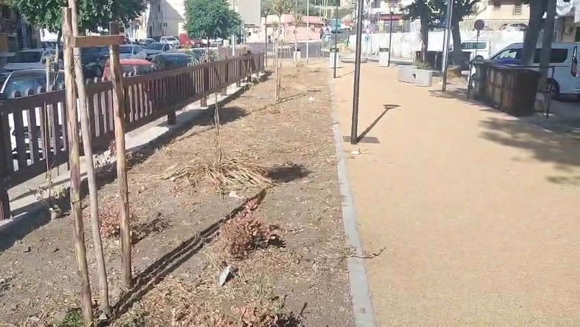 FORESTA ME: il costo dell'incuria ammonta a 496 mila euro 1 villaggio aldisio foretsa me ei fu