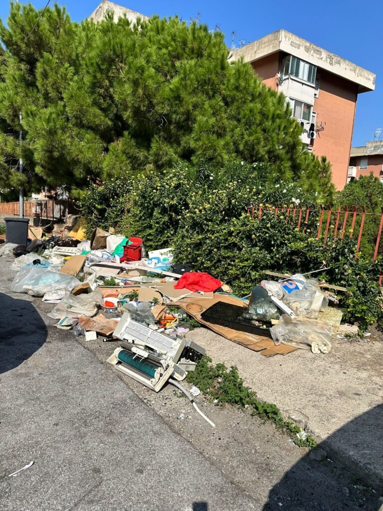 GIANDOMENICO LA FAUCI: «DISCARICHE ABUSIVE DAL VIALE GIOSTRA A SAN MICHELE» 19 1000236210