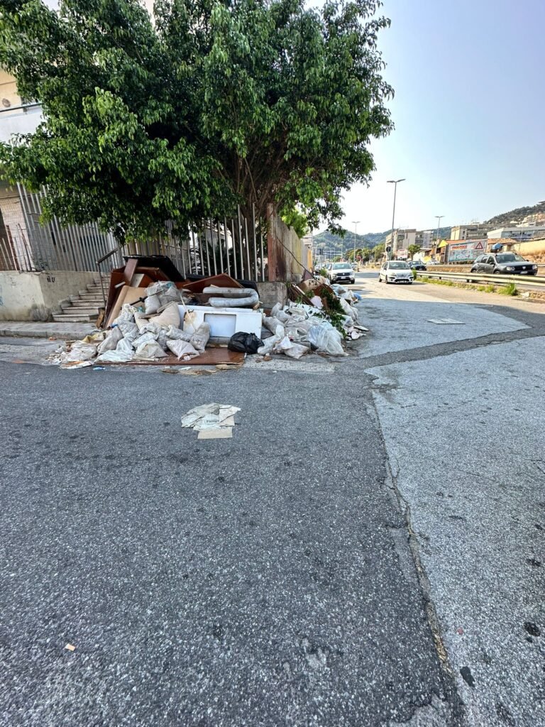 GIANDOMENICO LA FAUCI: «DISCARICHE ABUSIVE DAL VIALE GIOSTRA A SAN MICHELE» 15 1000236213