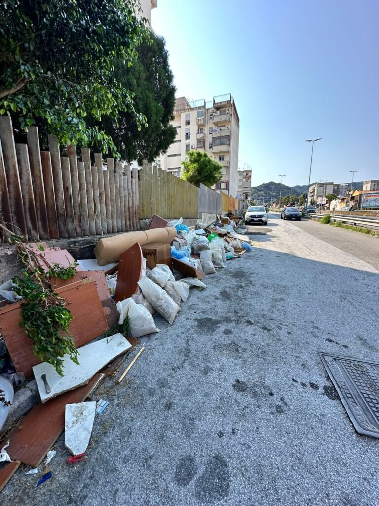 GIANDOMENICO LA FAUCI: «DISCARICHE ABUSIVE DAL VIALE GIOSTRA A SAN MICHELE» 11 1000236217