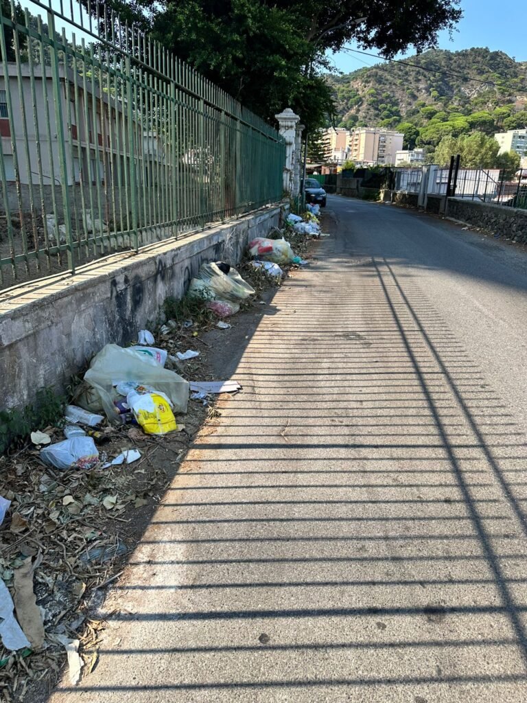 GIANDOMENICO LA FAUCI: «DISCARICHE ABUSIVE DAL VIALE GIOSTRA A SAN MICHELE» 6 1000236221