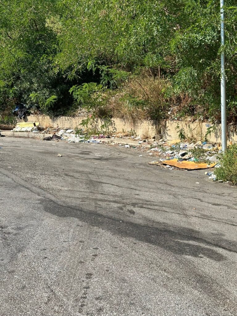 GIANDOMENICO LA FAUCI: «DISCARICHE ABUSIVE DAL VIALE GIOSTRA A SAN MICHELE» 5 1000236223