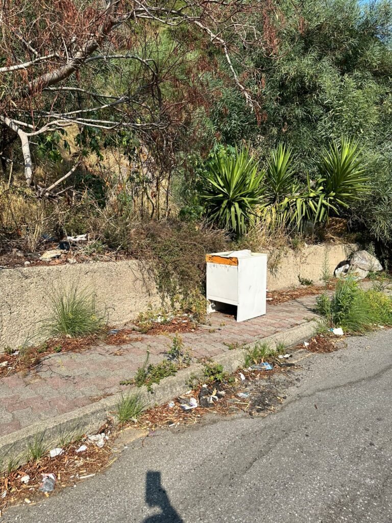 GIANDOMENICO LA FAUCI: «DISCARICHE ABUSIVE DAL VIALE GIOSTRA A SAN MICHELE» 3 1000236228