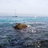 voce di Sicilia