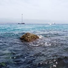 voce di Sicilia