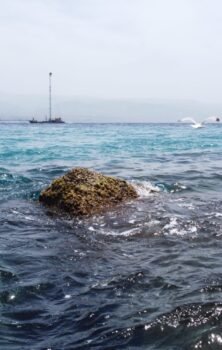 voce di Sicilia