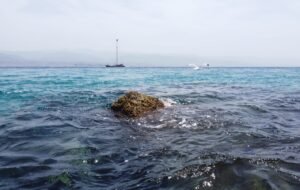 voce di Sicilia