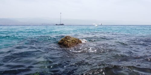 voce di Sicilia