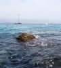 voce di Sicilia