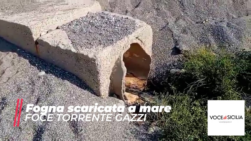 fogna gazzi