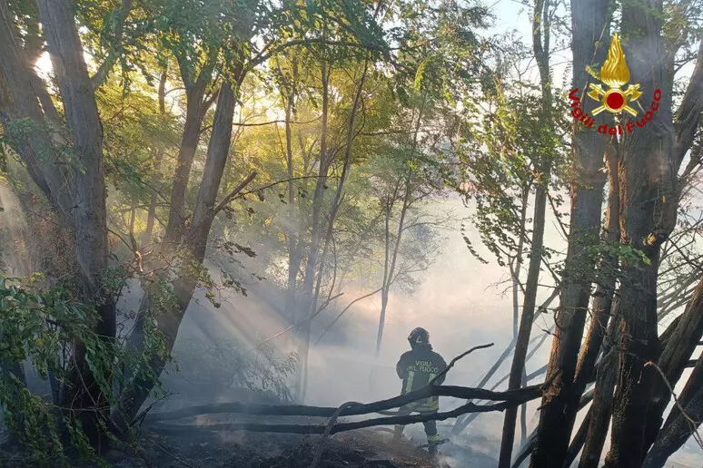 I vigili del fuoco trovano corpo carbonizzato mentre spengono incendio 1 incendio