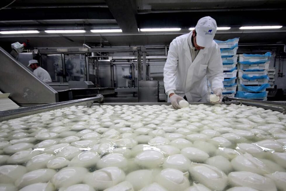 ALLERTA MOZZARELLA, RICHIAMO URGENTE: "RISCHIO METALLO". COINVOLTI CONAD, CARREFOUR E PENNY 1 mozzarelle