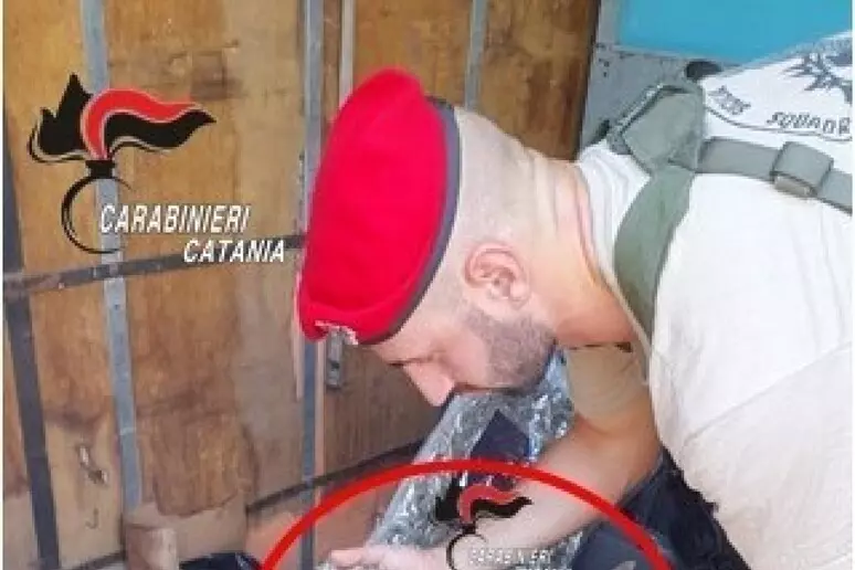 Market spaccio in un container, sequestrati 6,5 kg di droga 1 spaccio in un container droga