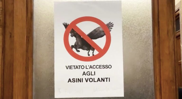 Onagrocrazia Messinese: la realtà oltre la propaganda del raglio