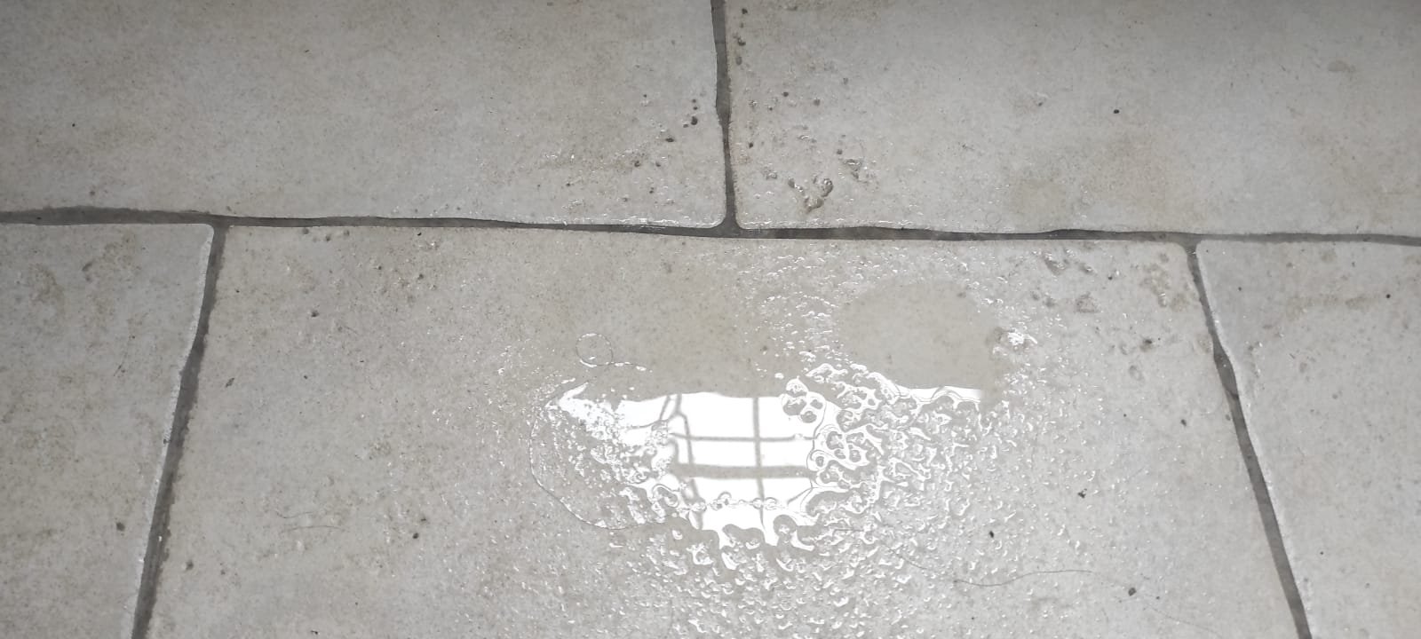 WhatsApp Image 2025 09 27 at 14.06.36