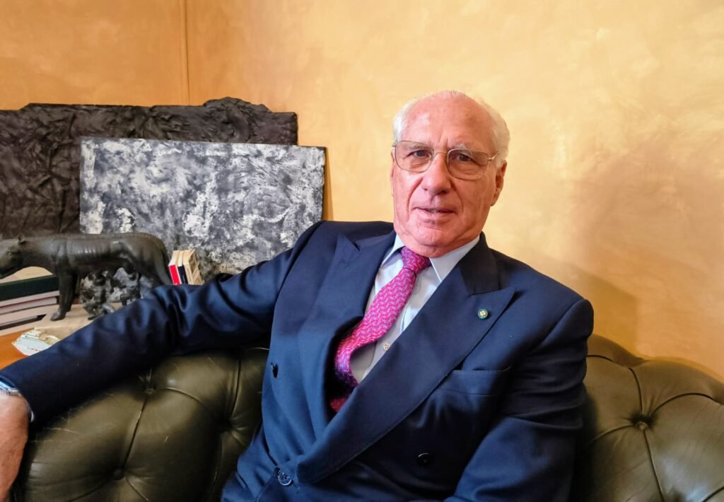 Ponte sullo Stretto, la Commissione Europea chiede lumi: un dialogo virtuoso o un azzardo ambientale? 5 ciucci a Messina 2
